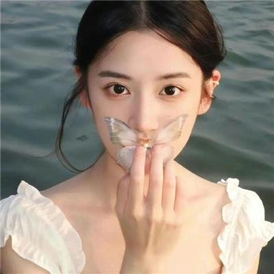 动物行为